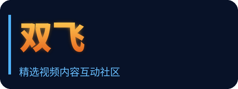 双飞 Logo
